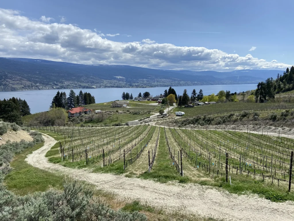 Summerland Sunday Market
