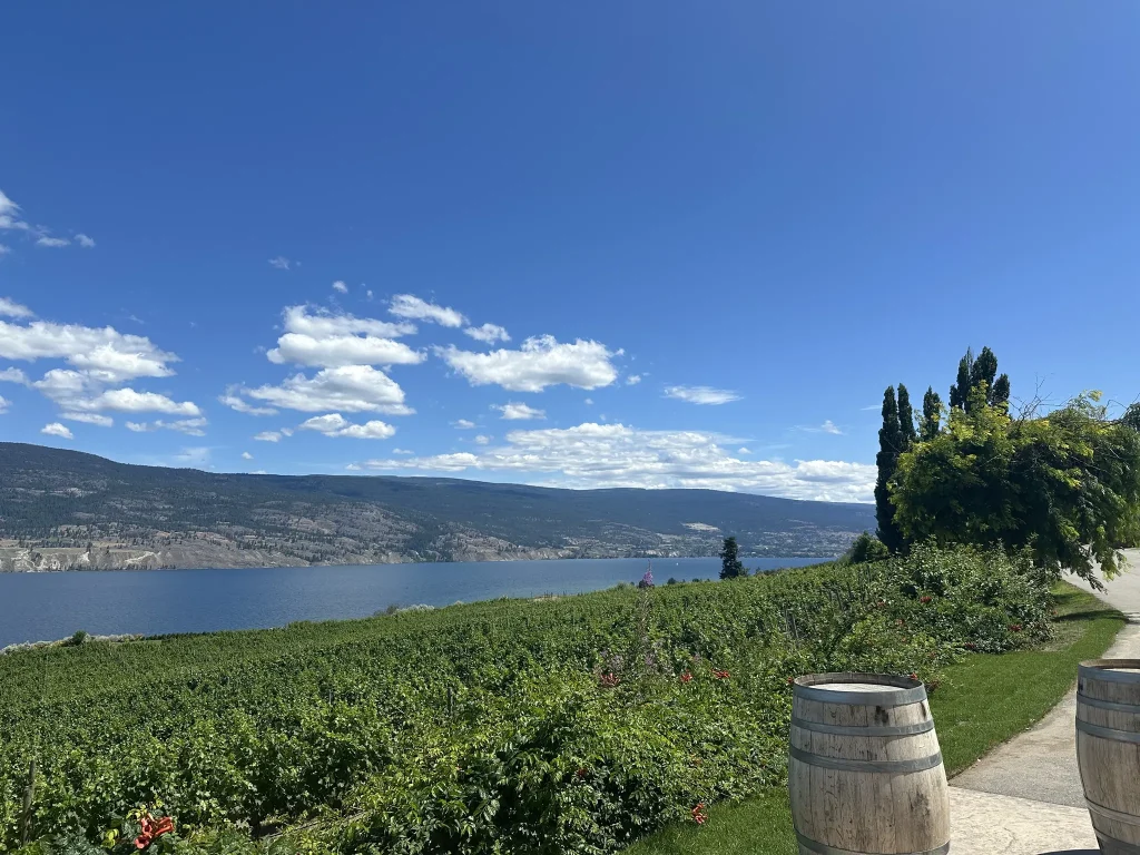 Harvest Long Table Dinner at Sumac Ridge